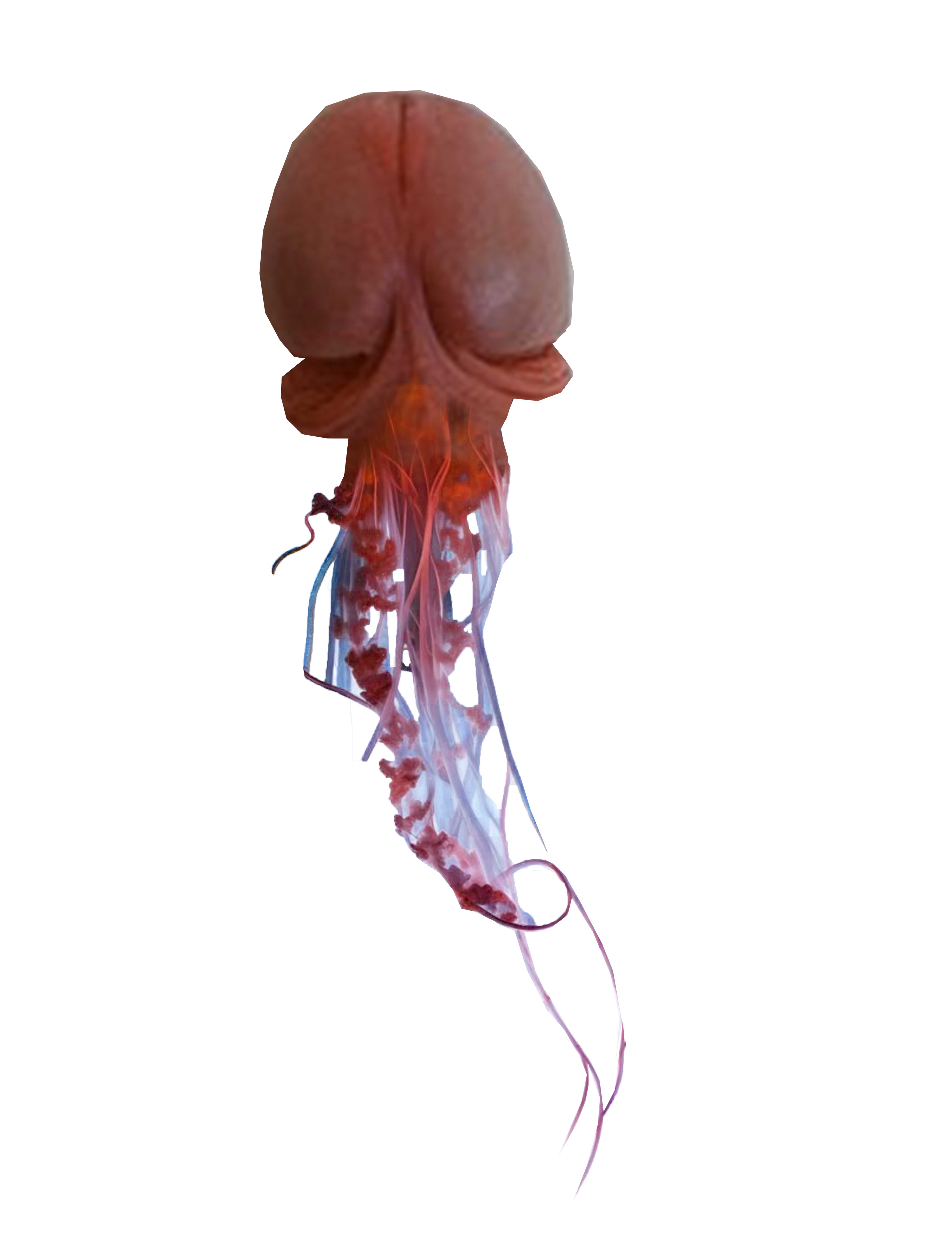 Floating Image 12